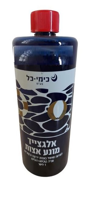 ללא שם