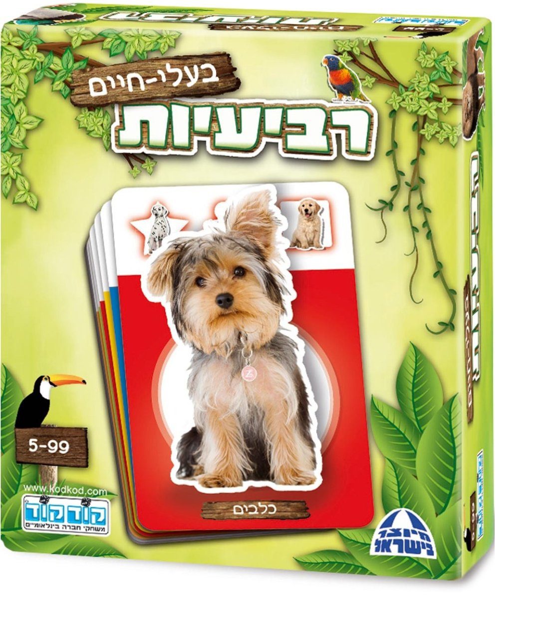 טראמפ